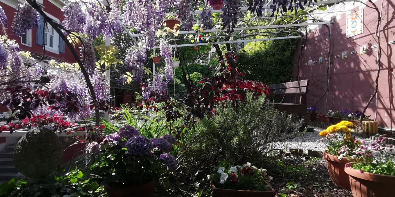 Charming Apartment In A 19Th Century Villa Trieste Esterno foto